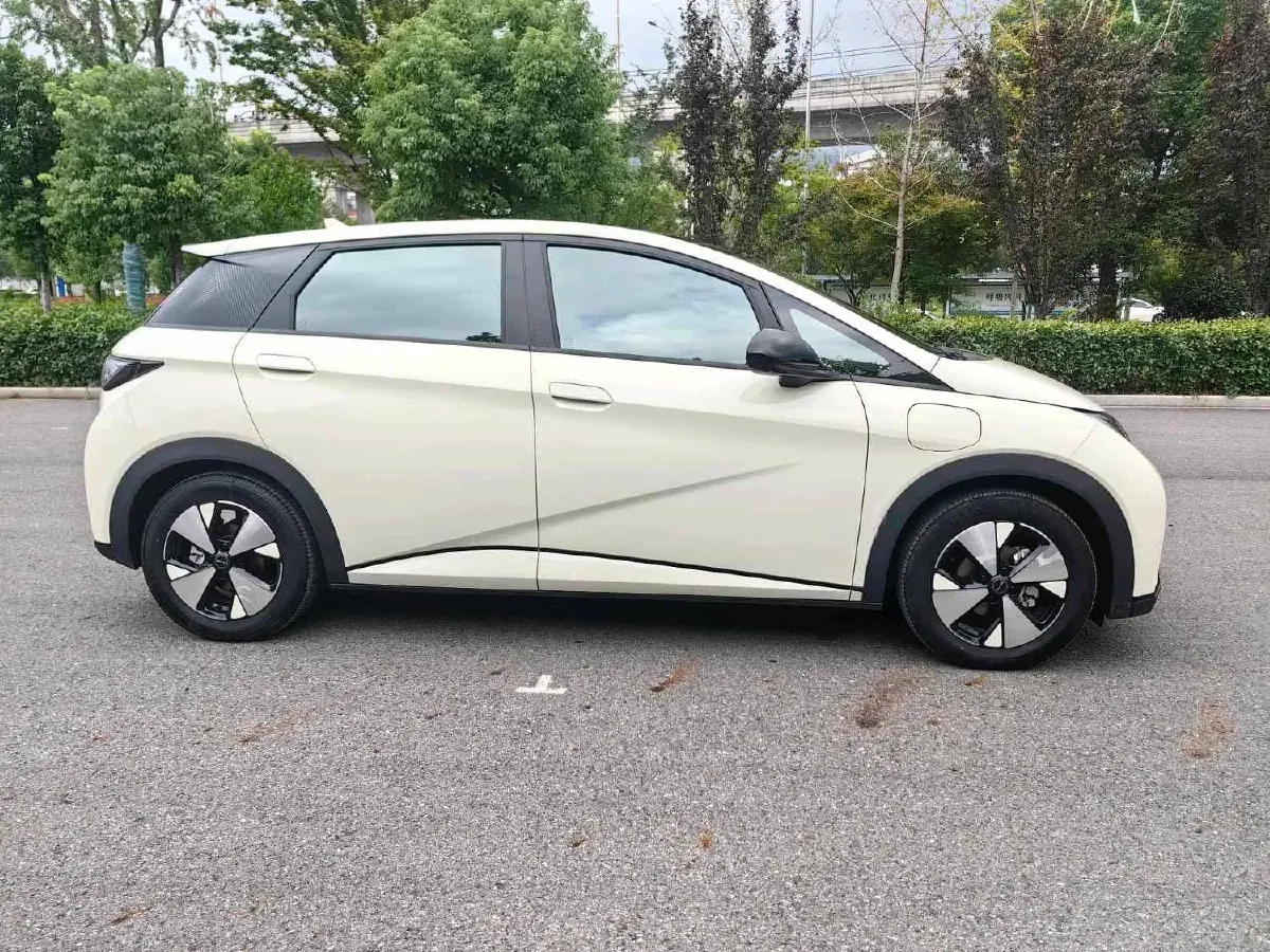 2023 BYD Dolphin BEV 44.928KWH,autocango,china used car exporter,china ev exporter,chinese used car exporter,chinese used ev exporter