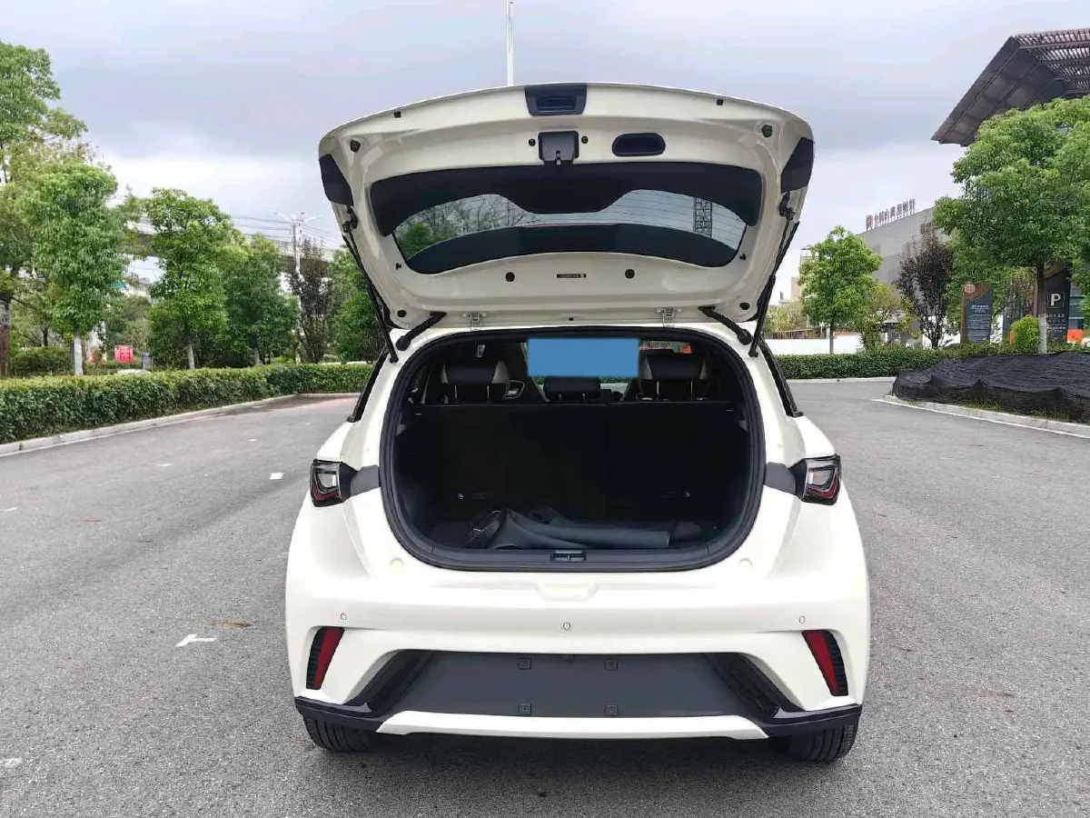 2023 BYD Dolphin BEV 44.928KWH,autocango,china used car exporter,china ev exporter,chinese used car exporter,chinese used ev exporter