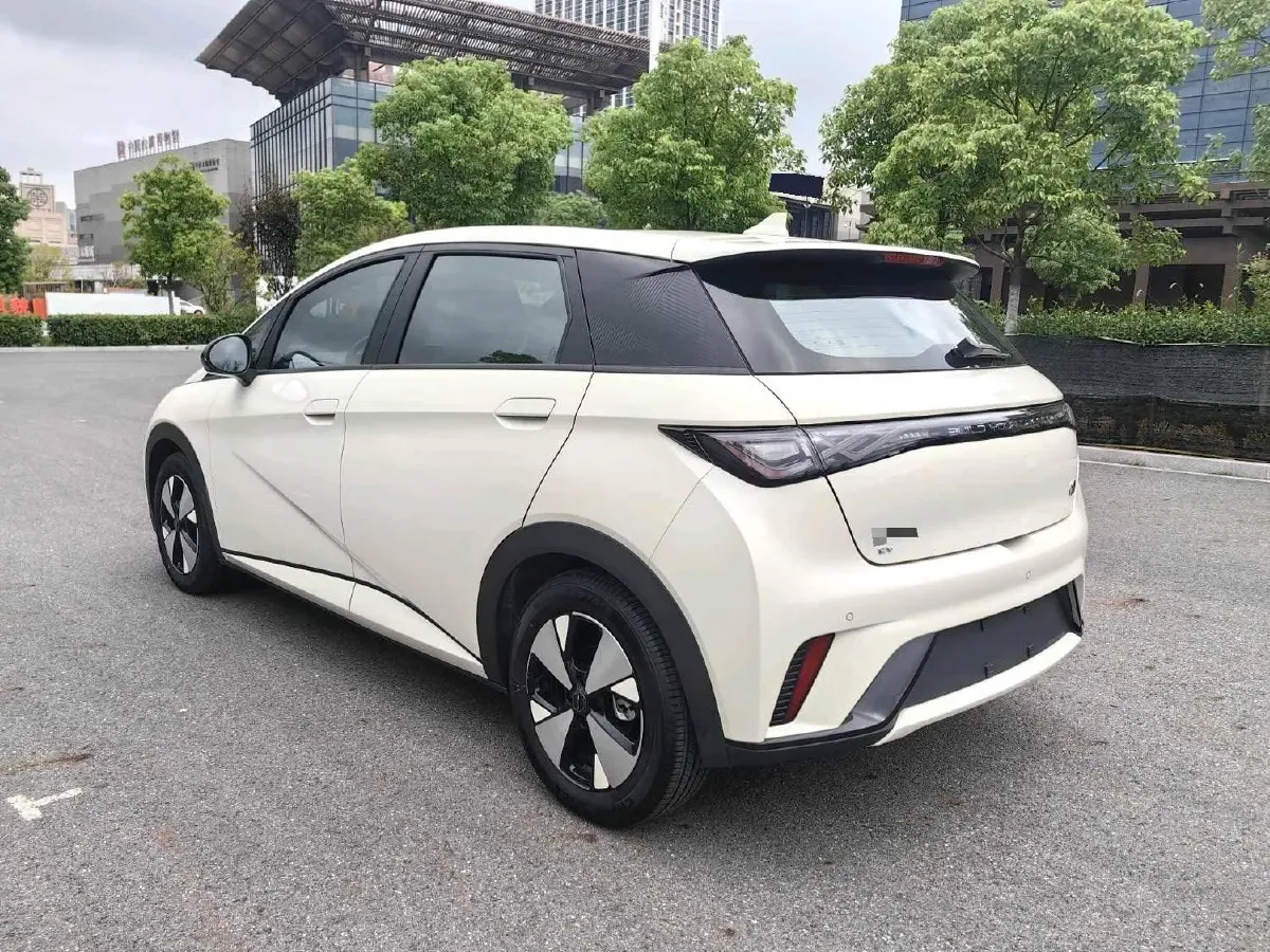 2023 BYD Dolphin BEV 44.928KWH,autocango,china used car exporter,china ev exporter,chinese used car exporter,chinese used ev exporter