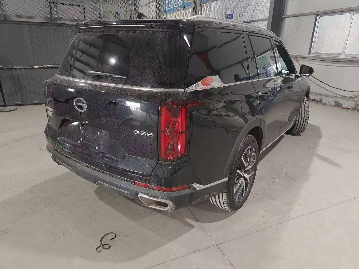 2024 GAC Trumpchi GS8 2.0T 252HP L4 8AT,autocango,china used car exporter,china ev exporter,chinese used car exporter,chinese used ev exporter
