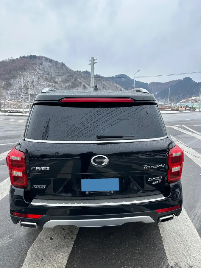 2017 GAC Trumpchi GS8 2.0T 201HP L4 6AT,autocango,china used car exporter,china ev exporter,chinese used car exporter,chinese used ev exporter