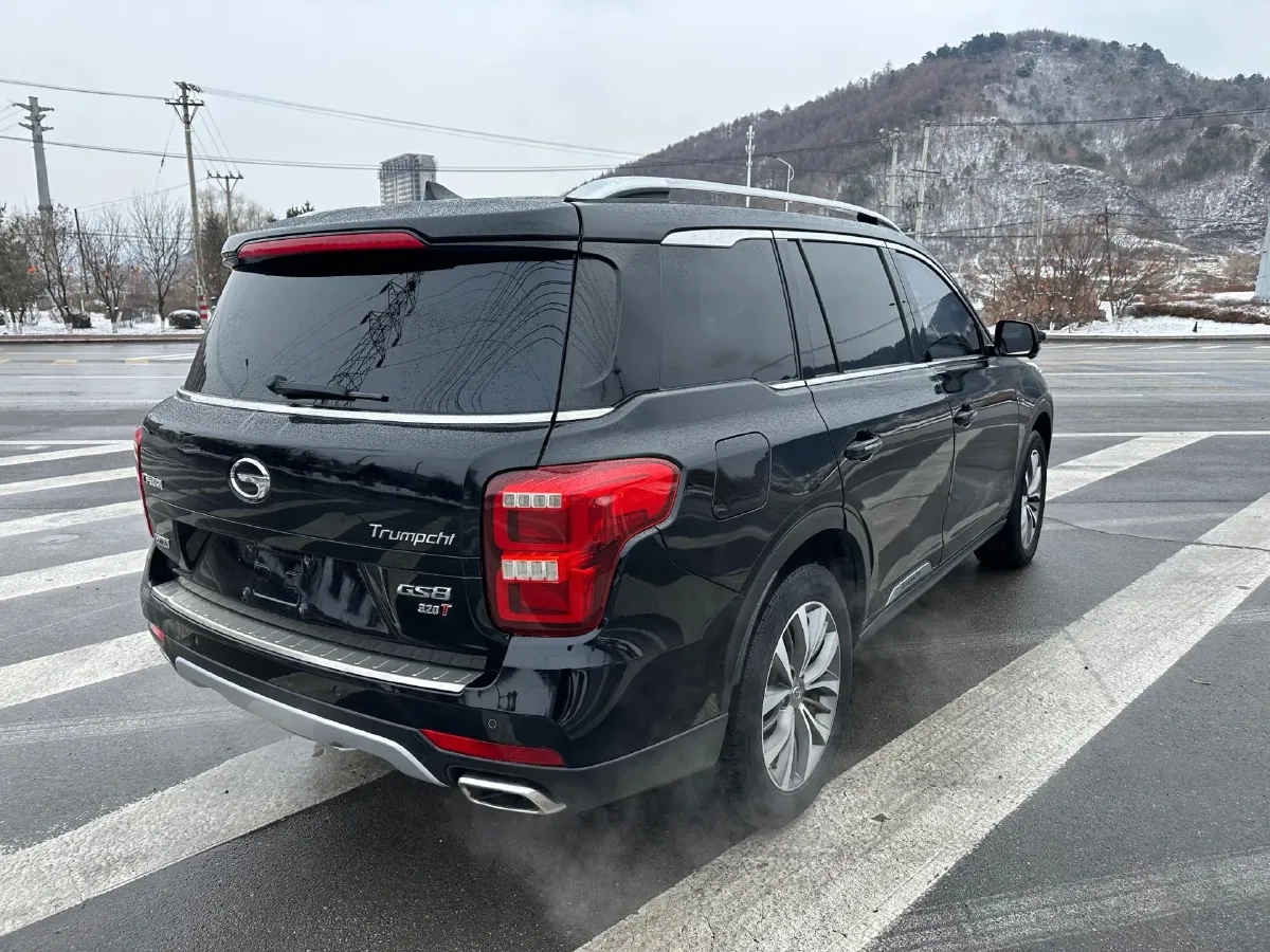 2017 GAC Trumpchi GS8 2.0T 201HP L4 6AT,autocango,china used car exporter,china ev exporter,chinese used car exporter,chinese used ev exporter