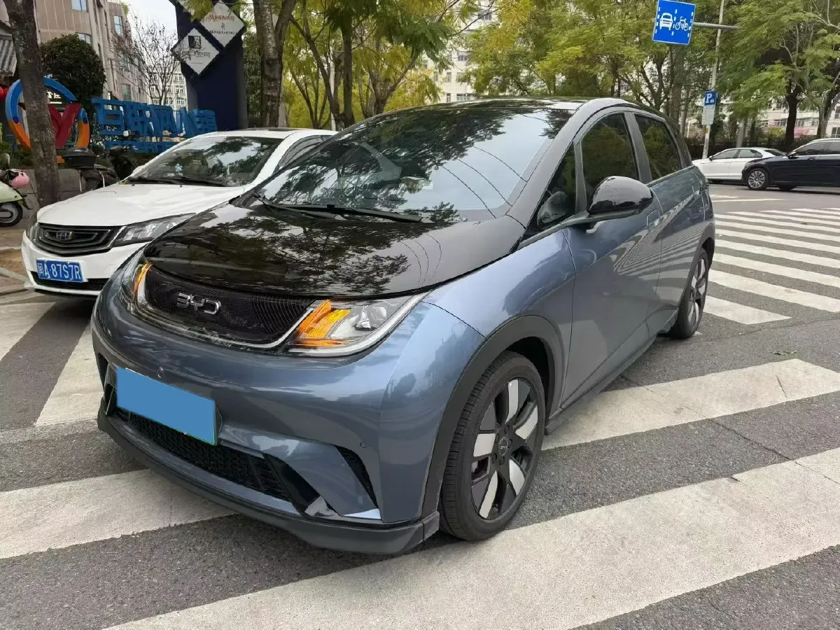 2024 BYD Dolphin BEV 44.928KWH,autocango,china used car exporter,china ev exporter,chinese used car exporter,chinese used ev exporter