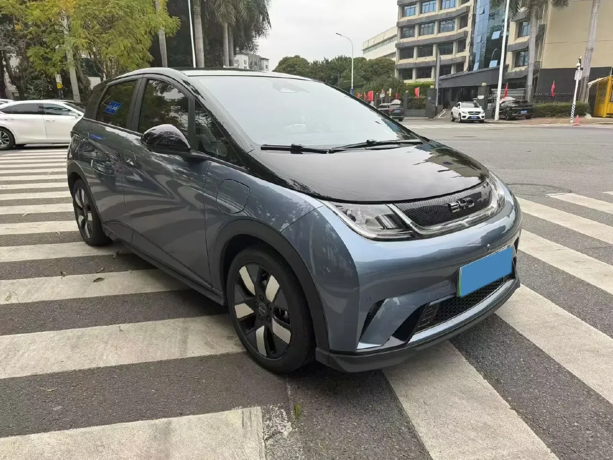 2024 BYD Dolphin BEV 44.928KWH,autocango,china used car exporter,china ev exporter,chinese used car exporter,chinese used ev exporter