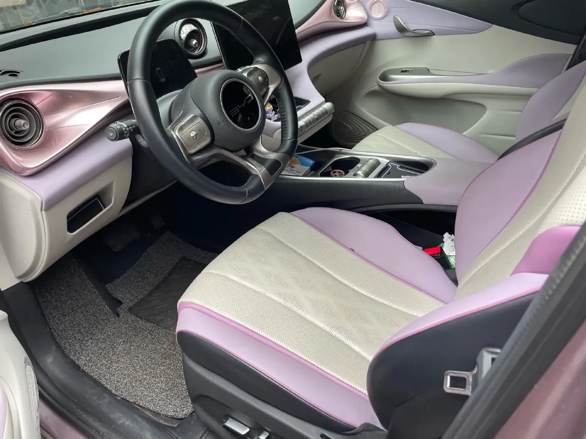 2023 BYD Dolphin BEV 44.928KWH,autocango,china used car exporter,china ev exporter,chinese used car exporter,chinese used ev exporter