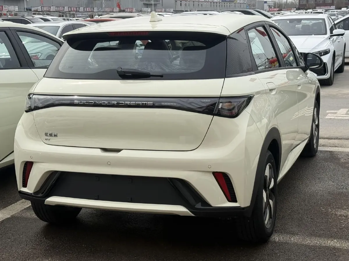 2025 BYD Dolphin BEV 44.928KWH,autocango,china used car exporter,china ev exporter,chinese used car exporter,chinese used ev exporter