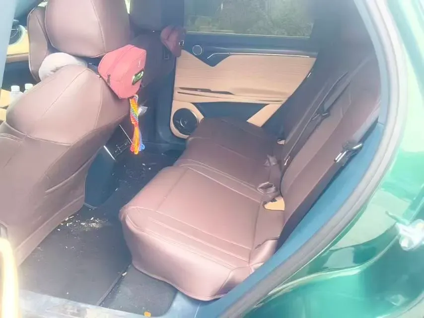 2024 Voyah FREE 1.5T 150HP L4 REEV 39.2KWH,autocango,china used car exporter,china ev exporter,chinese used car exporter,chinese used ev exporter