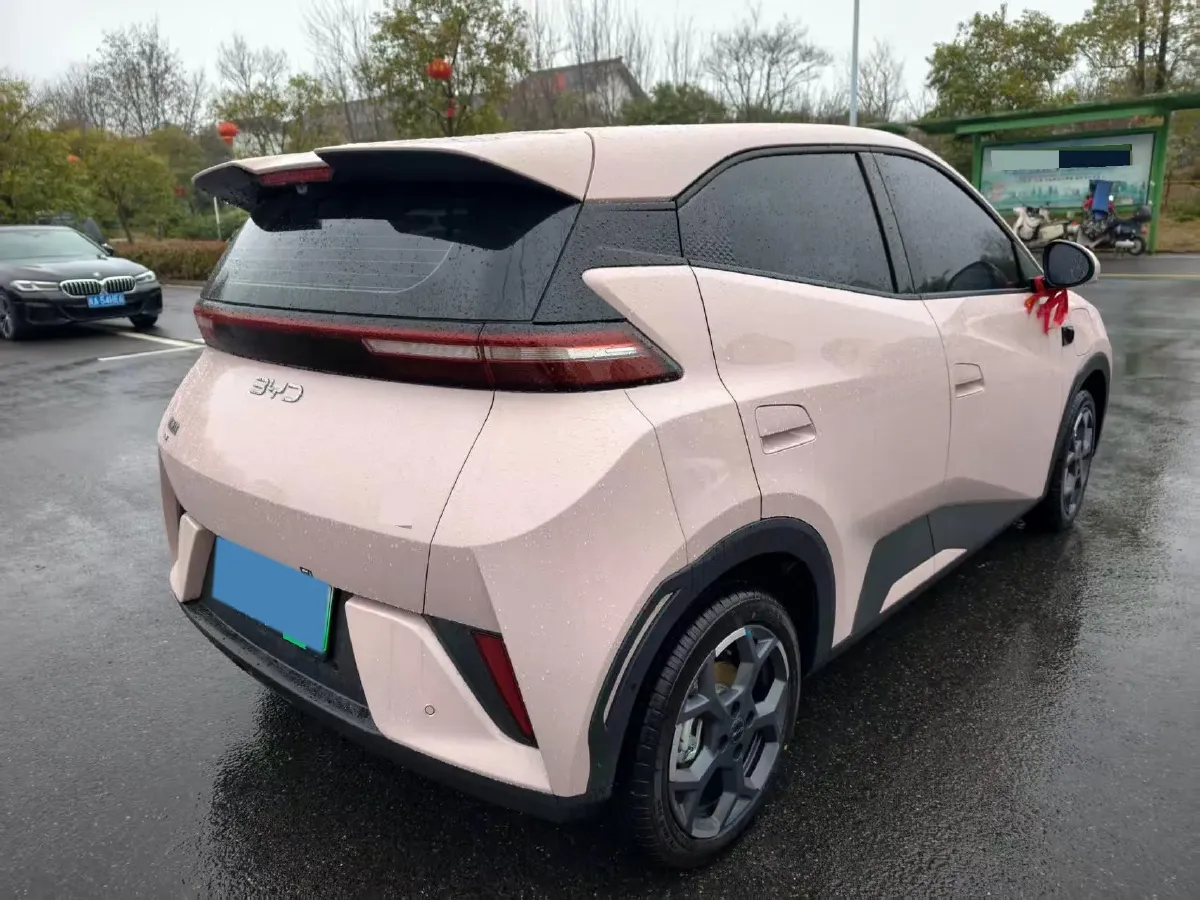 2025 BYD Seagull BEV 30.08KWH,autocango,china used car exporter,china ev exporter,chinese used car exporter,chinese used ev exporter