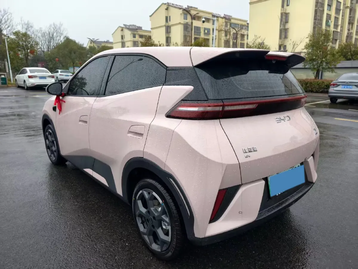 2025 BYD Seagull BEV 30.08KWH,autocango,china used car exporter,china ev exporter,chinese used car exporter,chinese used ev exporter