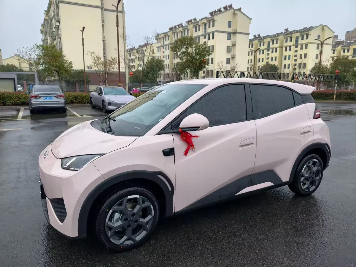 2025 BYD Seagull BEV 30.08KWH,autocango,china used car exporter,china ev exporter,chinese used car exporter,chinese used ev exporter