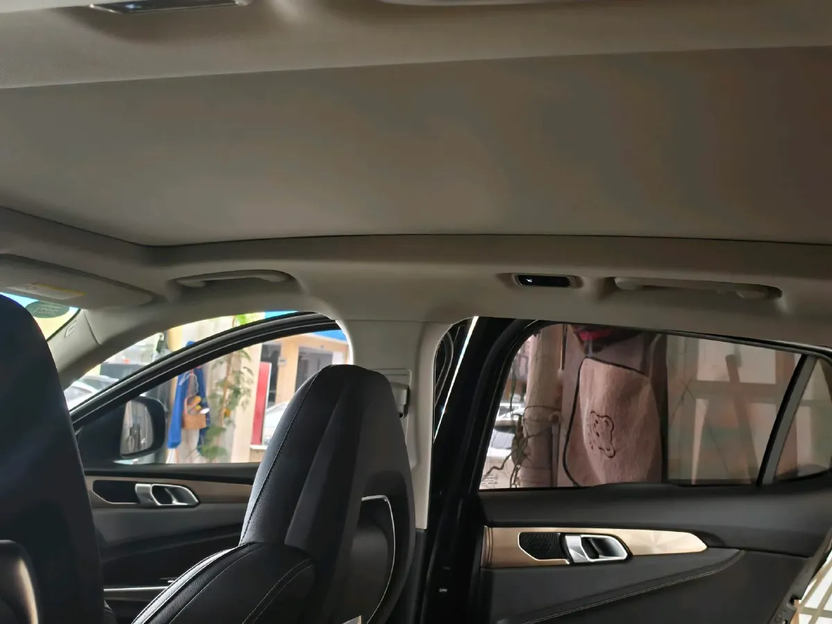 2017 Foton Sauvana 2.0T 218HP L4 6AT,autocango,china used car exporter,china ev exporter,chinese used car exporter,chinese used ev exporter