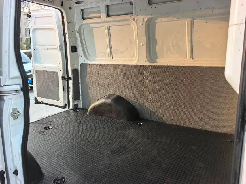 2021 MAXUS T70 2.0T 163HP L4 6MT,autocango,china used car exporter,china ev exporter,chinese used car exporter,chinese used ev exporter