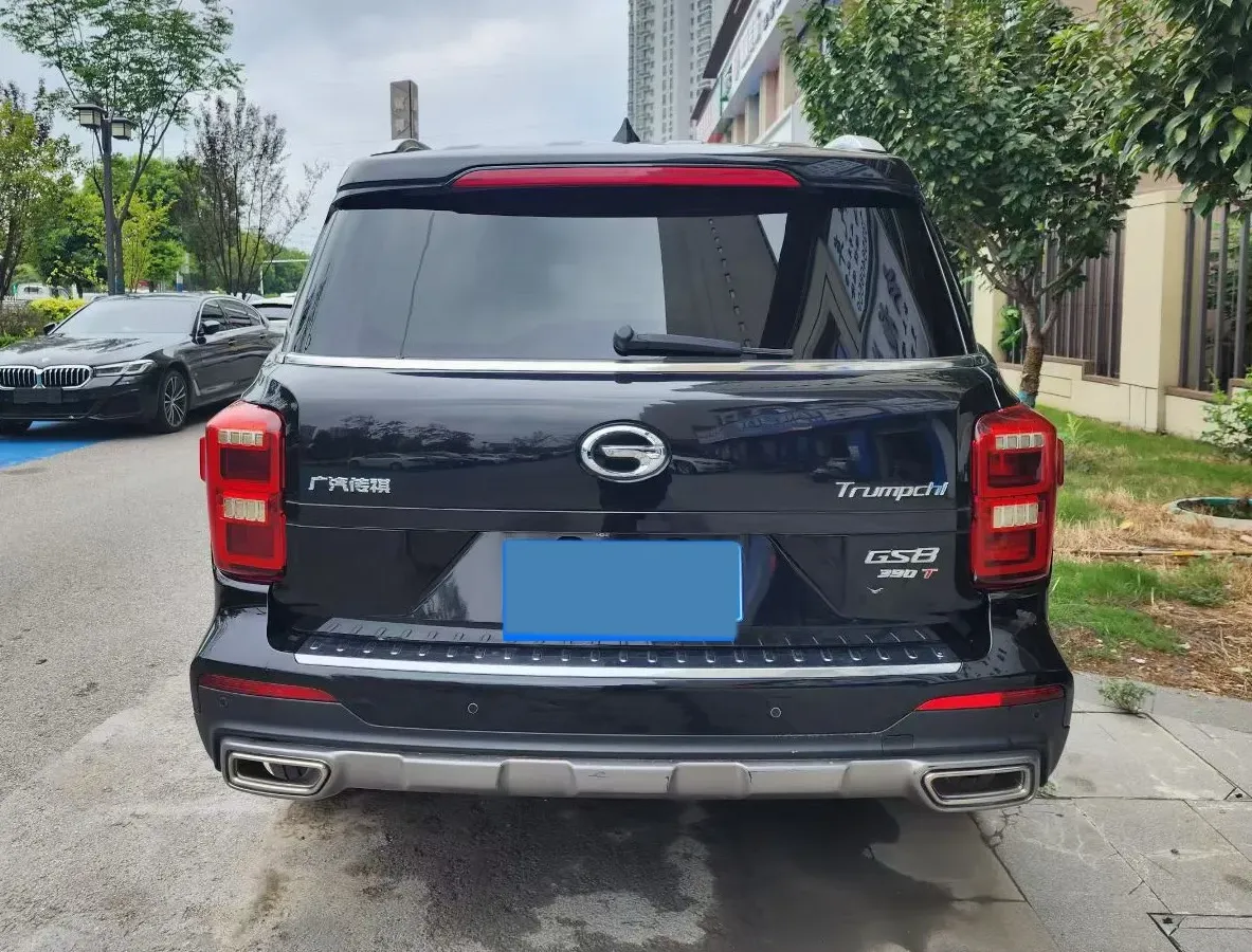 2019 GAC Trumpchi GS8 2.0T 252HP L4 6AT,autocango,china used car exporter,china ev exporter,chinese used car exporter,chinese used ev exporter