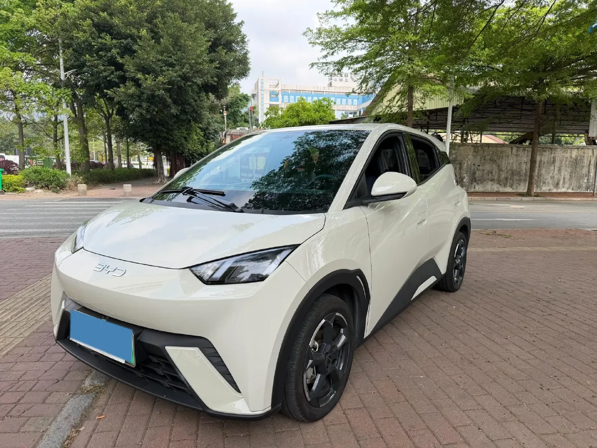 2023 BYD Seagull BEV 30.08KWH,autocango,china used car exporter,china ev exporter,chinese used car exporter,chinese used ev exporter