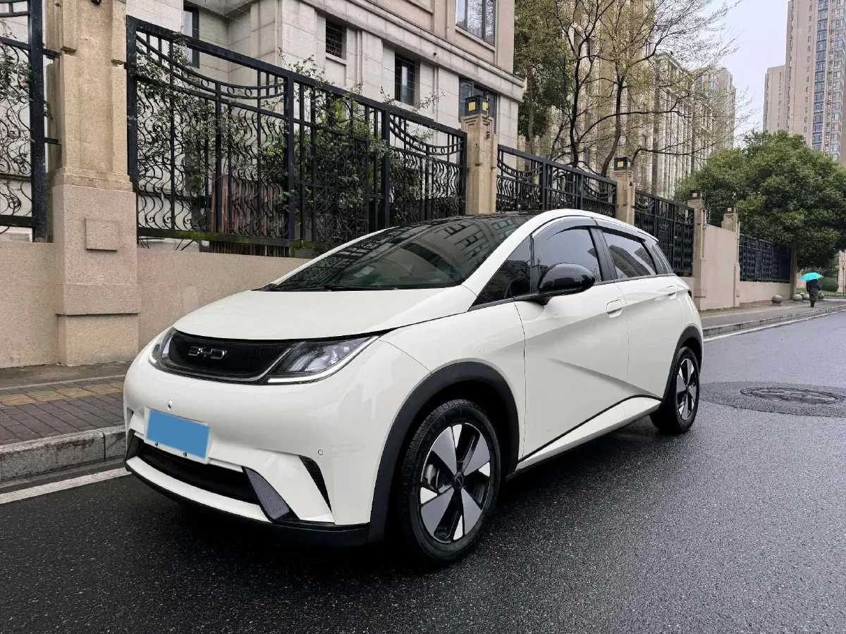 2023 BYD Dolphin BEV 44.928KWH,autocango,china used car exporter,china ev exporter,chinese used car exporter,chinese used ev exporter
