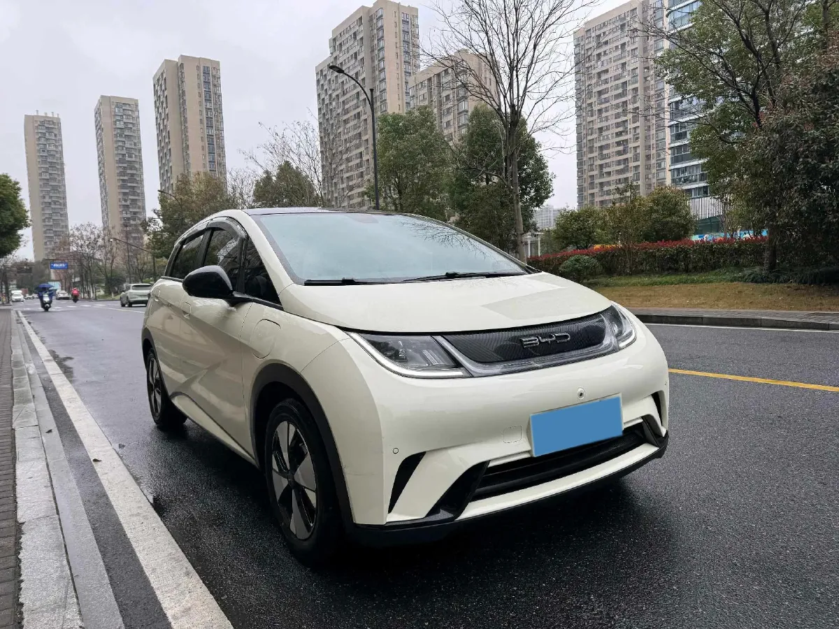 2023 BYD Dolphin BEV 44.928KWH,autocango,china used car exporter,china ev exporter,chinese used car exporter,chinese used ev exporter