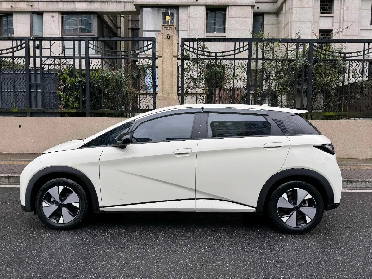 2023 BYD Dolphin BEV 44.928KWH,autocango,china used car exporter,china ev exporter,chinese used car exporter,chinese used ev exporter