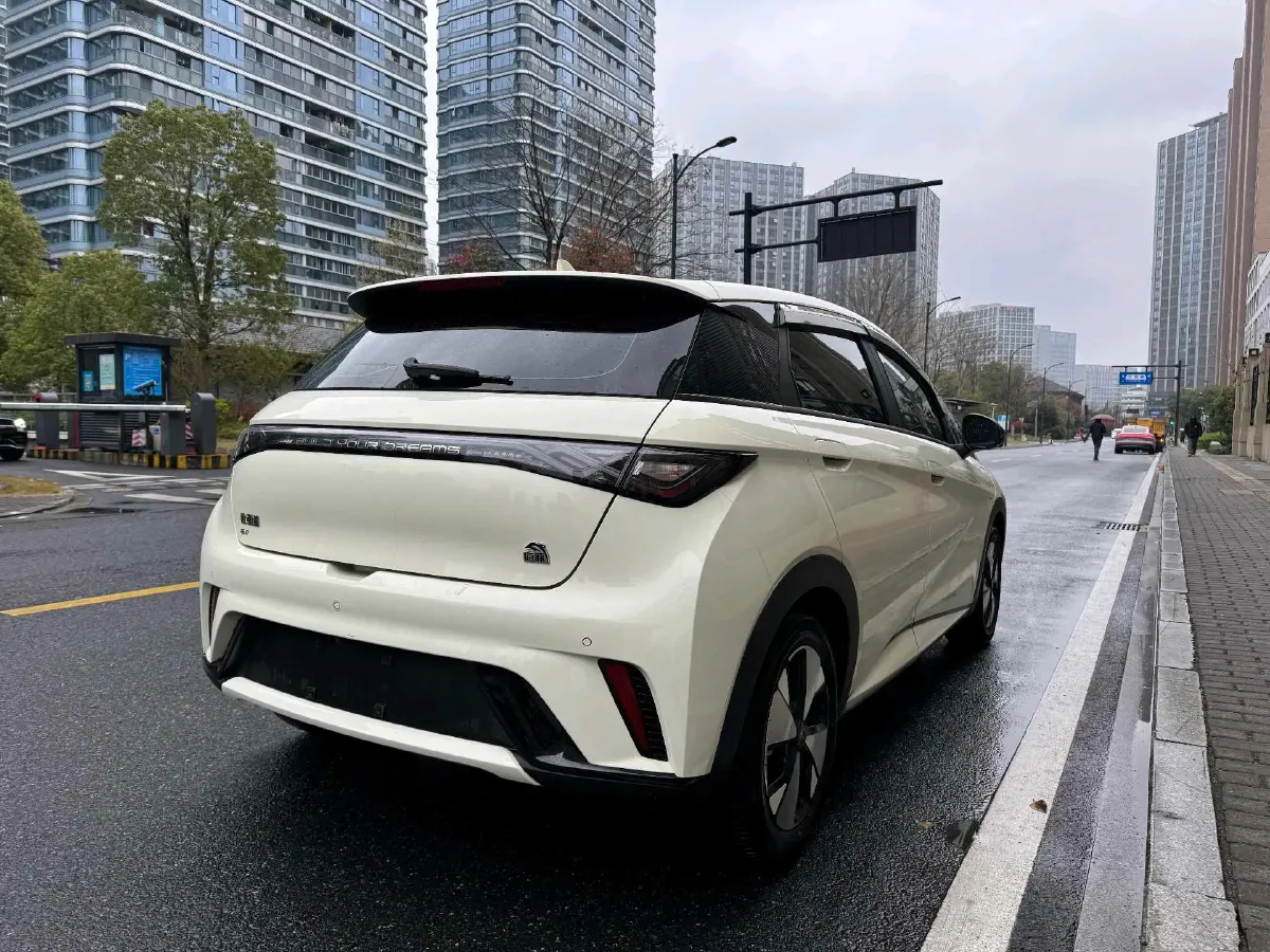 2023 BYD Dolphin BEV 44.928KWH,autocango,china used car exporter,china ev exporter,chinese used car exporter,chinese used ev exporter