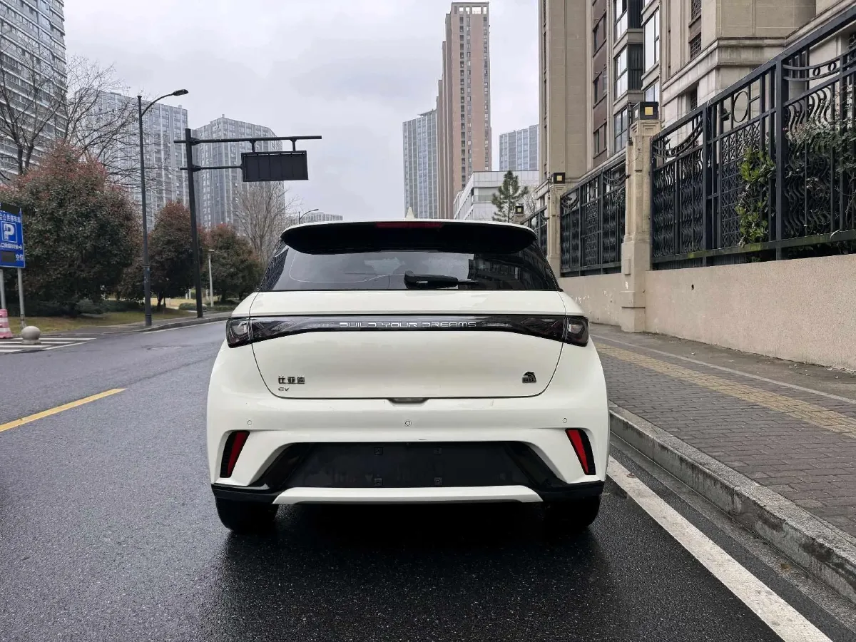 2023 BYD Dolphin BEV 44.928KWH,autocango,china used car exporter,china ev exporter,chinese used car exporter,chinese used ev exporter