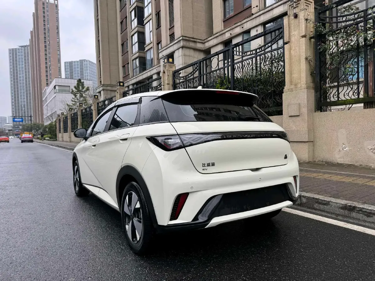 2023 BYD Dolphin BEV 44.928KWH,autocango,china used car exporter,china ev exporter,chinese used car exporter,chinese used ev exporter