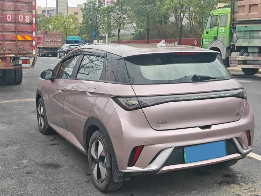 2023 BYD Dolphin BEV 44.928KWH,autocango,china used car exporter,china ev exporter,chinese used car exporter,chinese used ev exporter