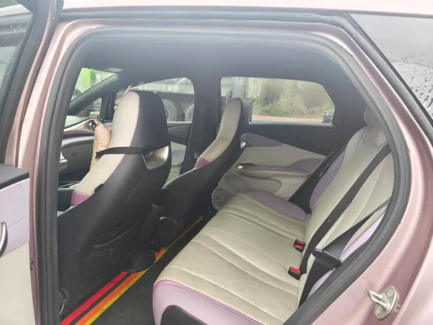 2023 BYD Dolphin BEV 44.928KWH,autocango,china used car exporter,china ev exporter,chinese used car exporter,chinese used ev exporter