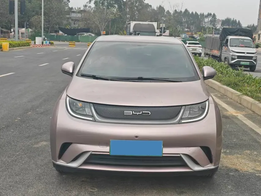 2023 BYD Dolphin BEV 44.928KWH,autocango,china used car exporter,china ev exporter,chinese used car exporter,chinese used ev exporter