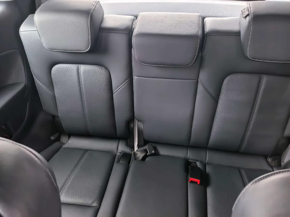 2021 GAC Trumpchi M8 2.0T 252HP L4 8AT,autocango,china used car exporter,china ev exporter,chinese used car exporter,chinese used ev exporter