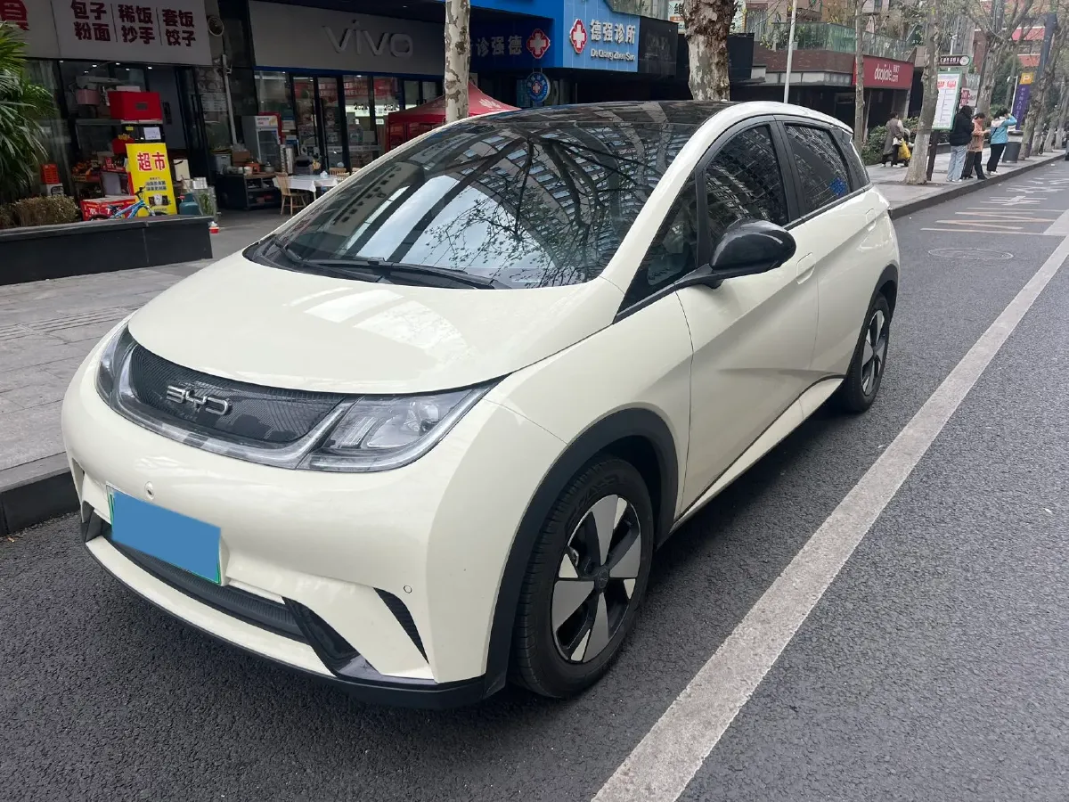 2023 BYD Dolphin BEV 44.928KWH,autocango,china used car exporter,china ev exporter,chinese used car exporter,chinese used ev exporter