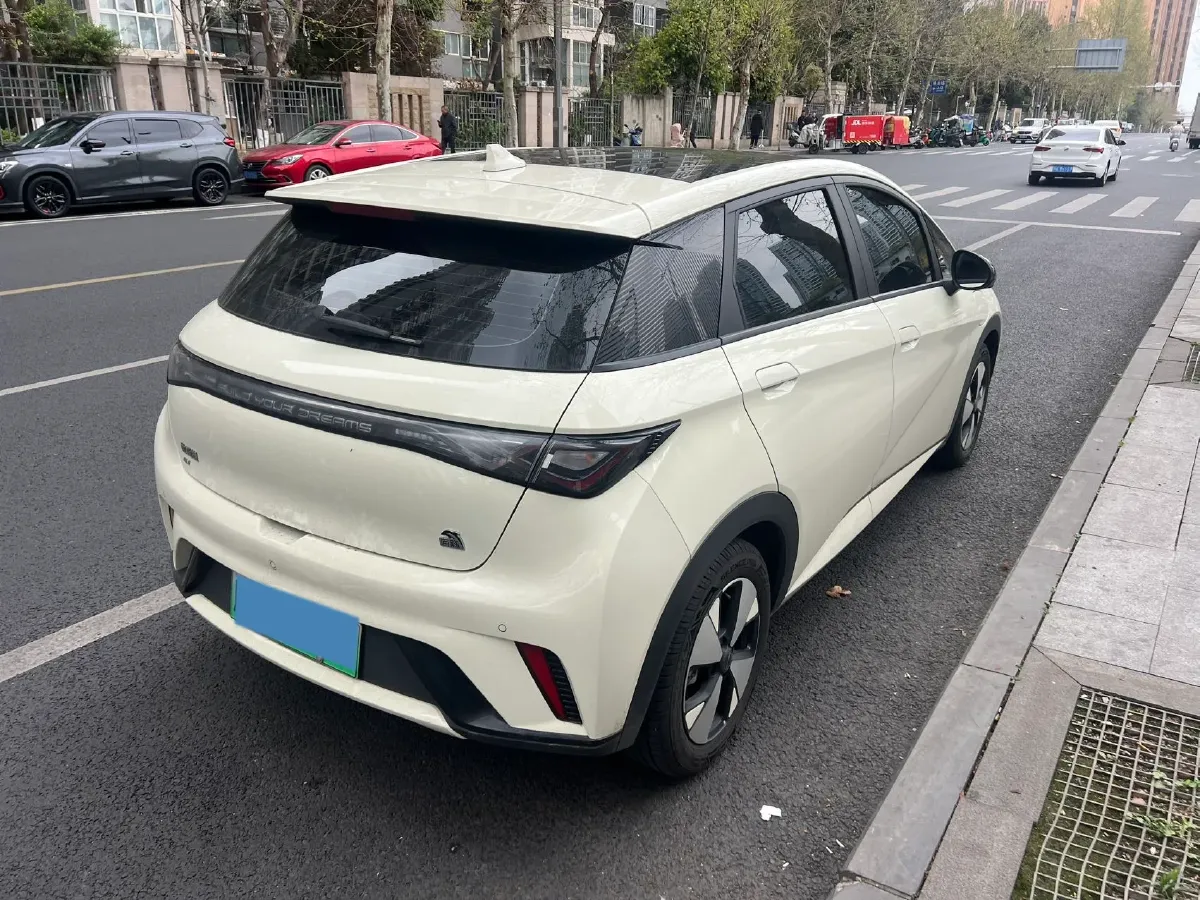 2023 BYD Dolphin BEV 44.928KWH,autocango,china used car exporter,china ev exporter,chinese used car exporter,chinese used ev exporter