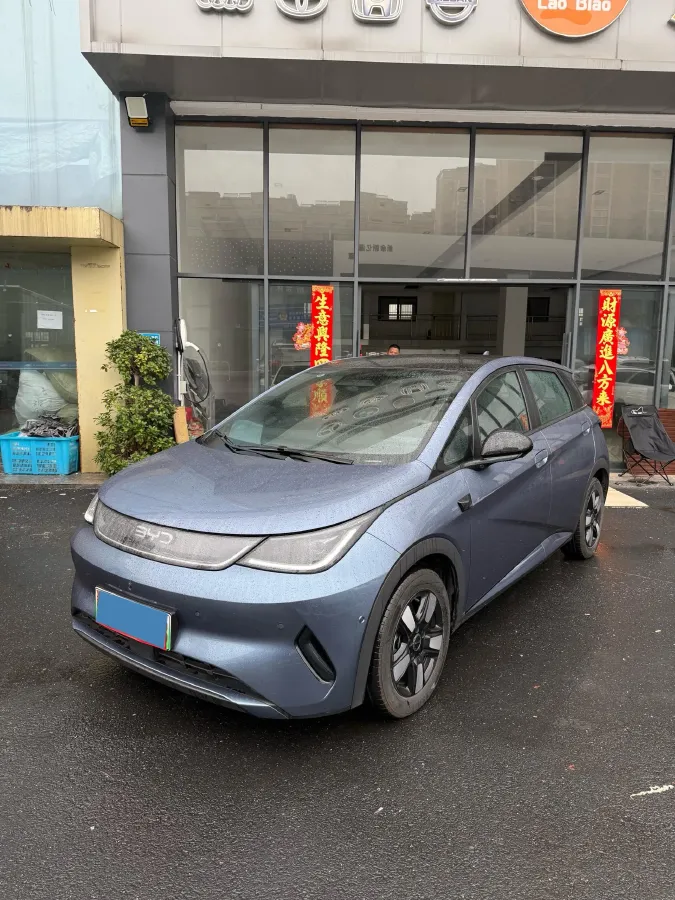 2025 BYD Dolphin BEV 45.12KWH,autocango,china used car exporter,china ev exporter,chinese used car exporter,chinese used ev exporter