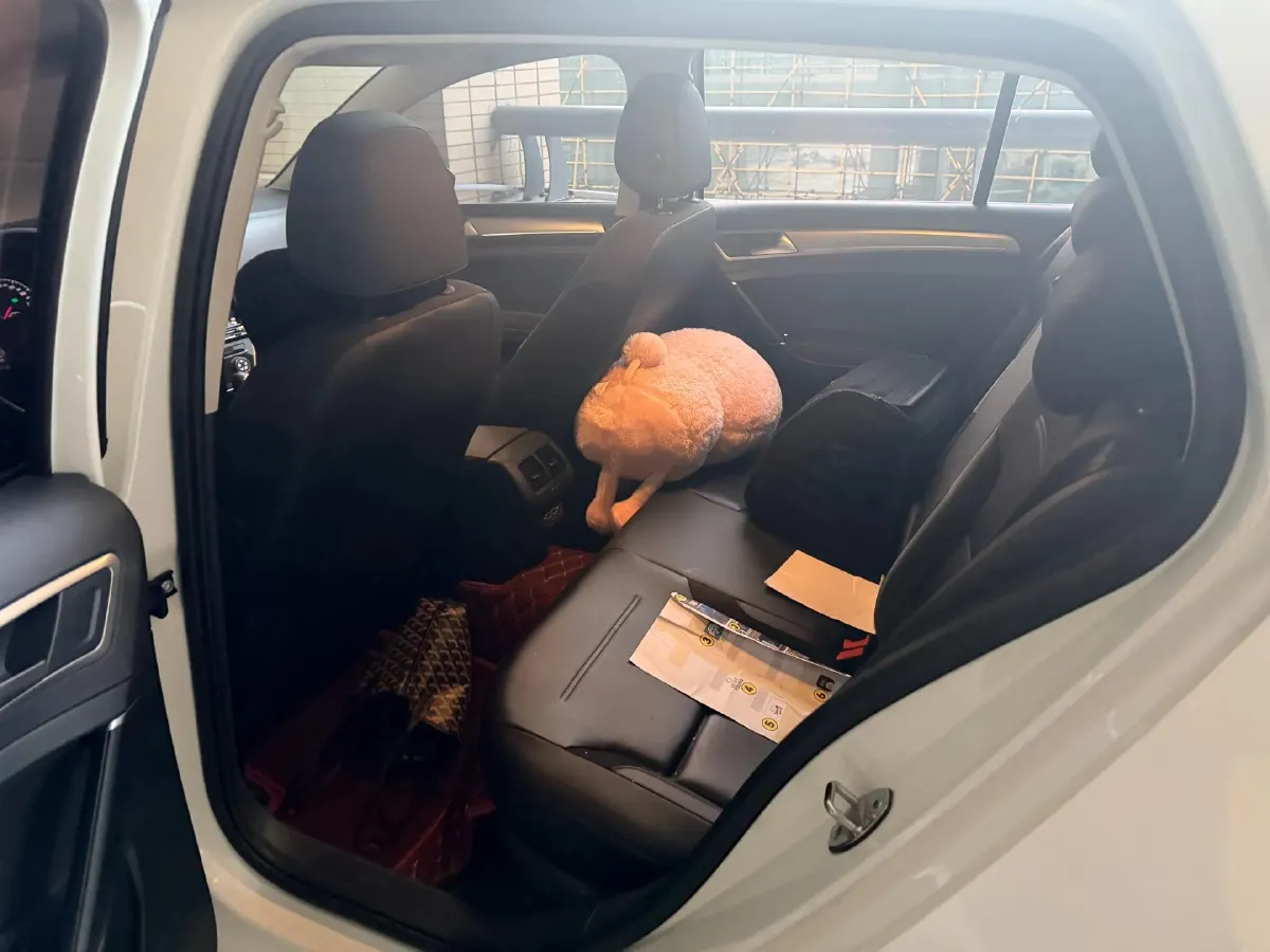 2018 Volkswagen Golf 1.6L 110HP L4 6AT,autocango,china used car exporter,china ev exporter,chinese used car exporter,chinese used ev exporter