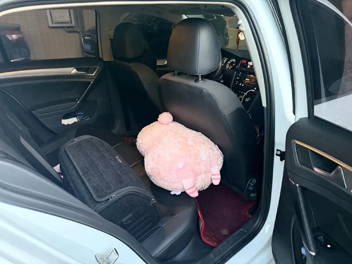 2018 Volkswagen Golf 1.6L 110HP L4 6AT,autocango,china used car exporter,china ev exporter,chinese used car exporter,chinese used ev exporter