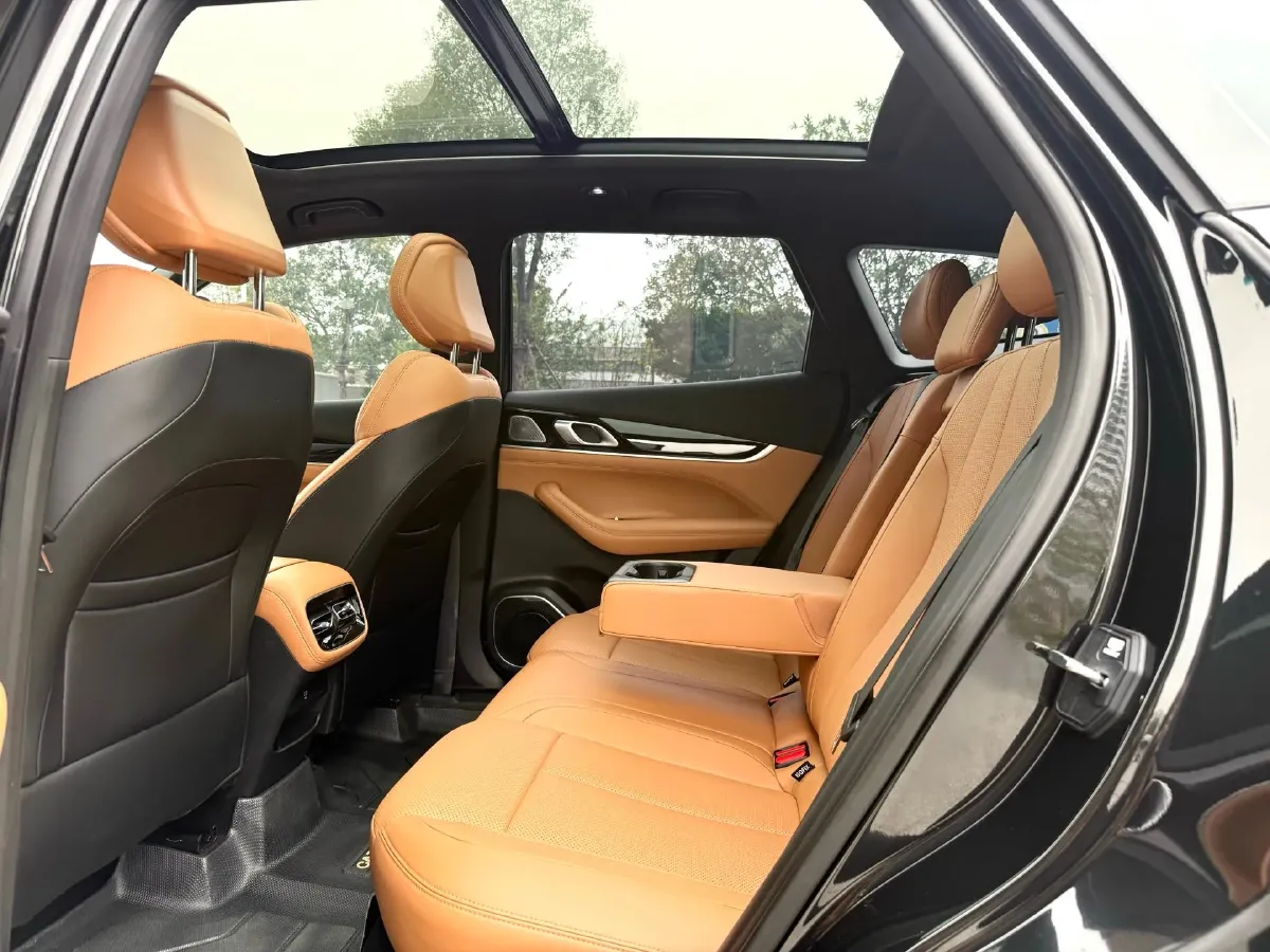 2025 Geely StarRay 1.5T 181HP L4 7DCT,autocango,china used car exporter,china ev exporter,chinese used car exporter,chinese used ev exporter