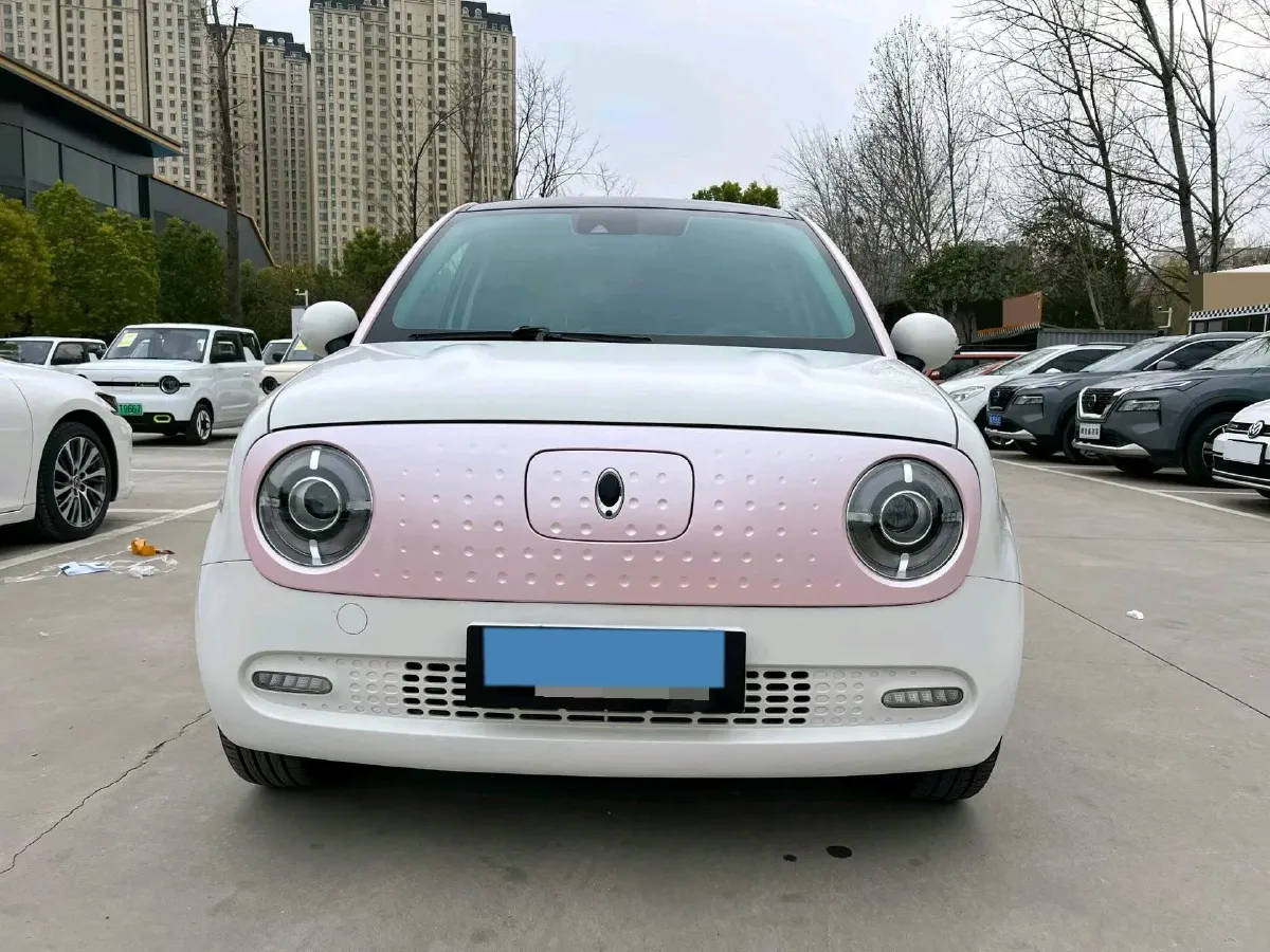 2019 Ora BlackCat BEV 33KWH,autocango,china used car exporter,china ev exporter,chinese used car exporter,chinese used ev exporter