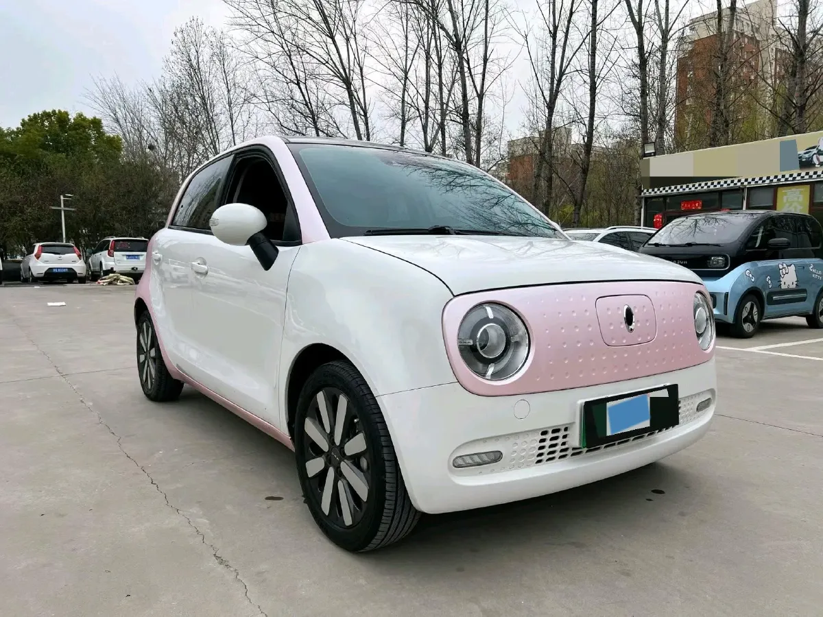 2019 Ora BlackCat BEV 33KWH,autocango,china used car exporter,china ev exporter,chinese used car exporter,chinese used ev exporter