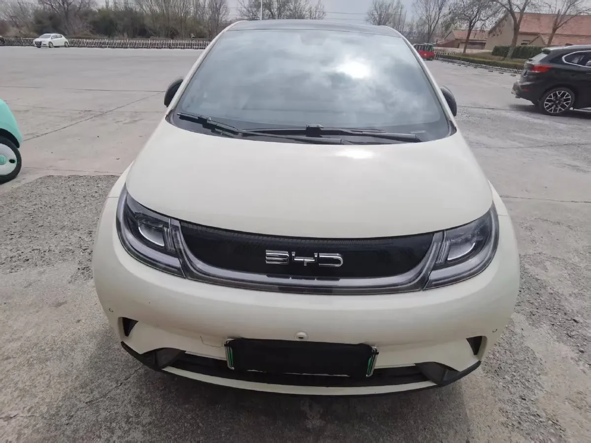 2023 BYD Dolphin BEV 44.928KWH,autocango,china used car exporter,china ev exporter,chinese used car exporter,chinese used ev exporter