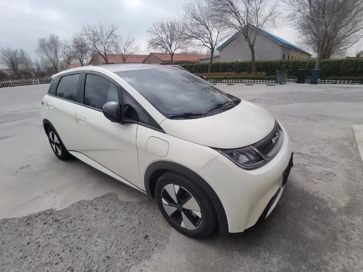 2023 BYD Dolphin BEV 44.928KWH,autocango,china used car exporter,china ev exporter,chinese used car exporter,chinese used ev exporter