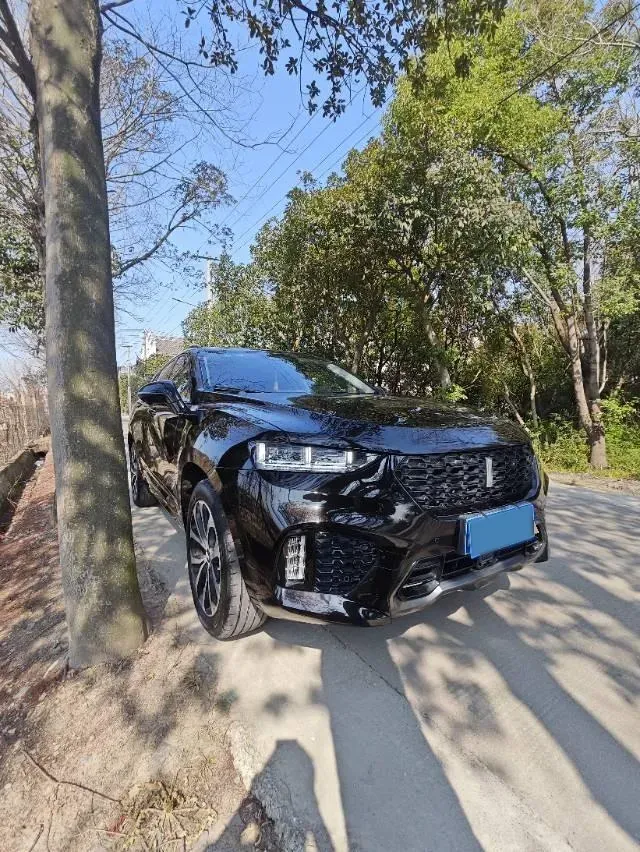 2019 WEY VV7 2.0T 234HP L4 7DCT,autocango,china used car exporter,china ev exporter,chinese used car exporter,chinese used ev exporter