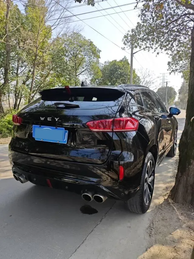 2019 WEY VV7 2.0T 234HP L4 7DCT,autocango,china used car exporter,china ev exporter,chinese used car exporter,chinese used ev exporter