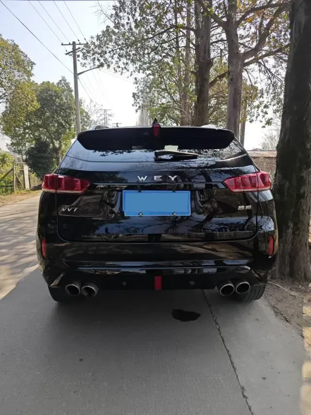 2019 WEY VV7 2.0T 234HP L4 7DCT,autocango,china used car exporter,china ev exporter,chinese used car exporter,chinese used ev exporter