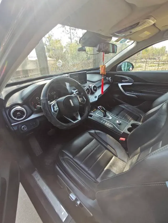 2019 WEY VV7 2.0T 234HP L4 7DCT,autocango,china used car exporter,china ev exporter,chinese used car exporter,chinese used ev exporter