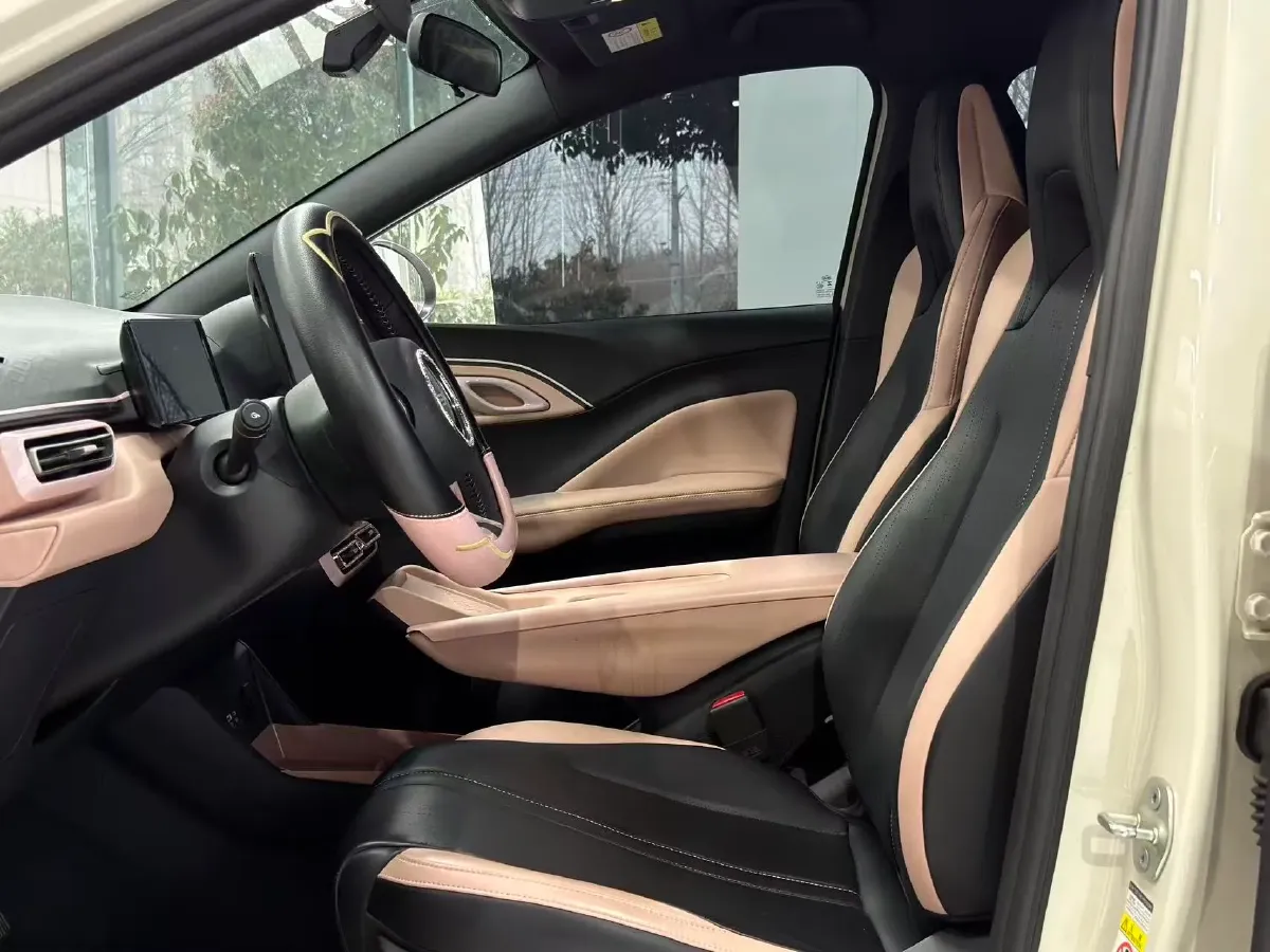 2025 BYD Seagull BEV 38.88KWH,autocango,china used car exporter,china ev exporter,chinese used car exporter,chinese used ev exporter