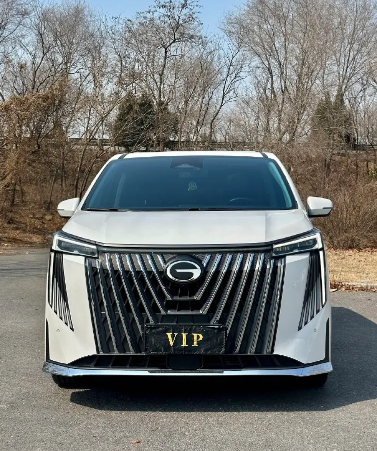 2024 GAC Trumpchi M8 2.0T 252HP L4 8AT,autocango,china used car exporter,china ev exporter,chinese used car exporter,chinese used ev exporter