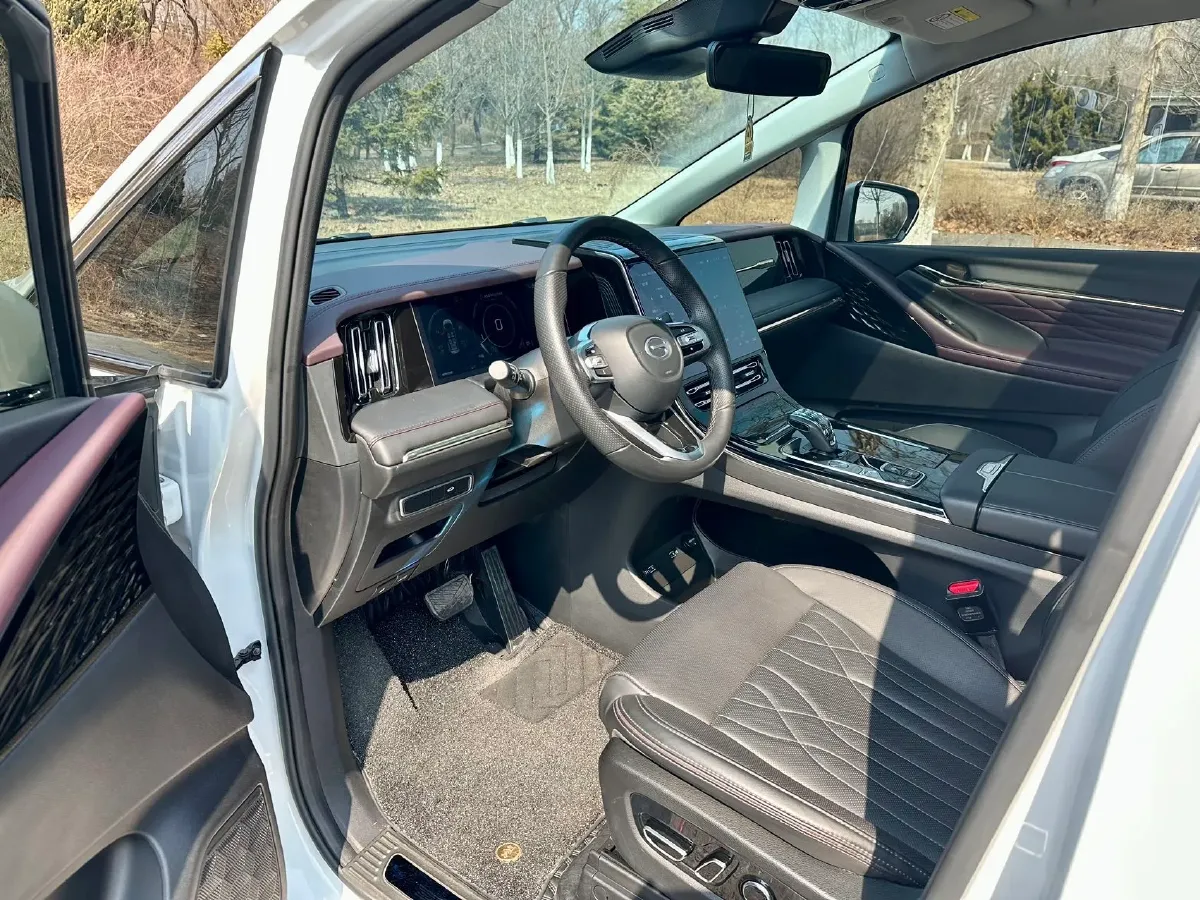 2024 GAC Trumpchi M8 2.0T 252HP L4 8AT,autocango,china used car exporter,china ev exporter,chinese used car exporter,chinese used ev exporter