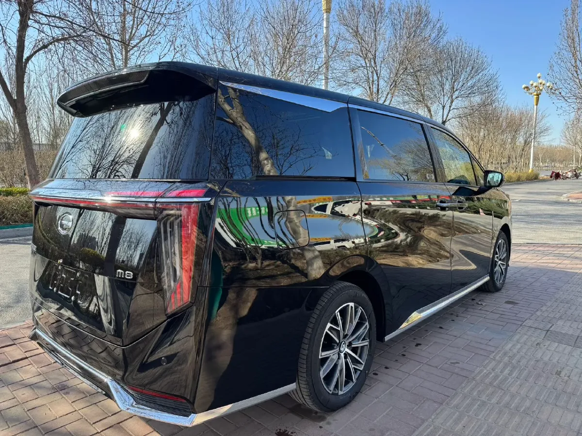 2024 GAC Trumpchi M8 2.0T 252HP L4 8AT,autocango,china used car exporter,china ev exporter,chinese used car exporter,chinese used ev exporter