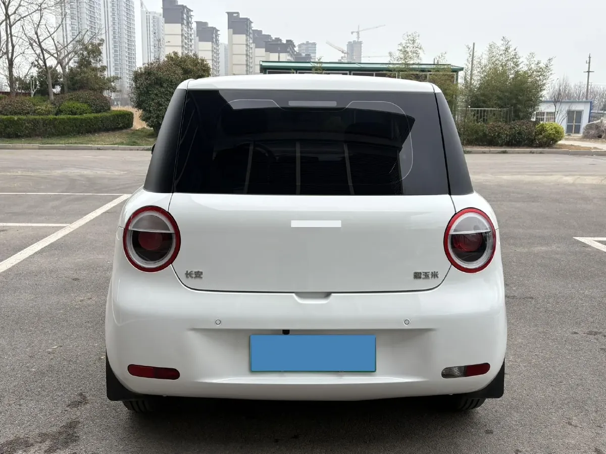 2024 ChangAn QiYuan Lumin BEV 13.41KWH,autocango,china used car exporter,china ev exporter,chinese used car exporter,chinese used ev exporter