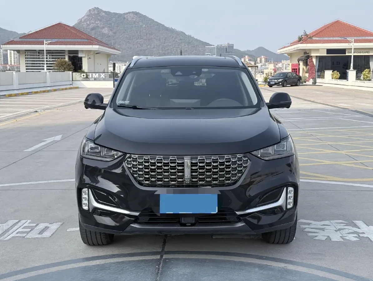 2021 WEY VV6 2.0T 227HP L4 7DCT,autocango,china used car exporter,china ev exporter,chinese used car exporter,chinese used ev exporter
