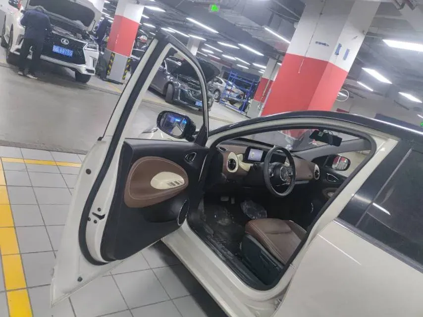 2023 WuLing BinGuo BEV 31.9KWH,autocango,china used car exporter,china ev exporter,chinese used car exporter,chinese used ev exporter