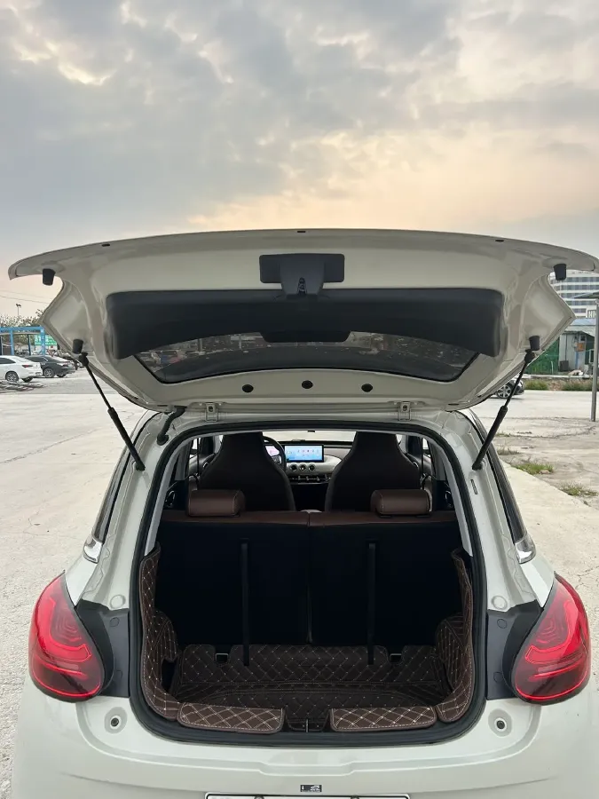 2023 WuLing BinGuo BEV 31.9KWH,autocango,china used car exporter,china ev exporter,chinese used car exporter,chinese used ev exporter